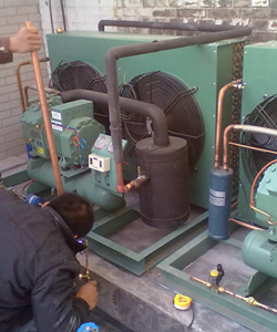 冷庫安裝實(shí)例 冷庫安裝實(shí)例